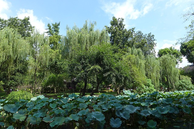 Free Humble Administrator'S Garden Autumn photo and picture