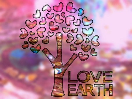 Árbol, Naturaleza, Amor, Romántico