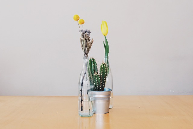 Flores, Vasos, Cacto, Tulipas, Decoração