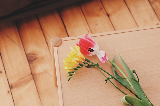 Flores, Natural, Florescer, Bloom