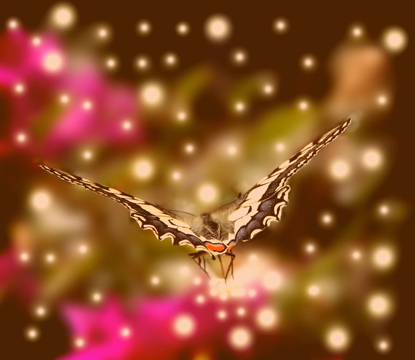My Image 15