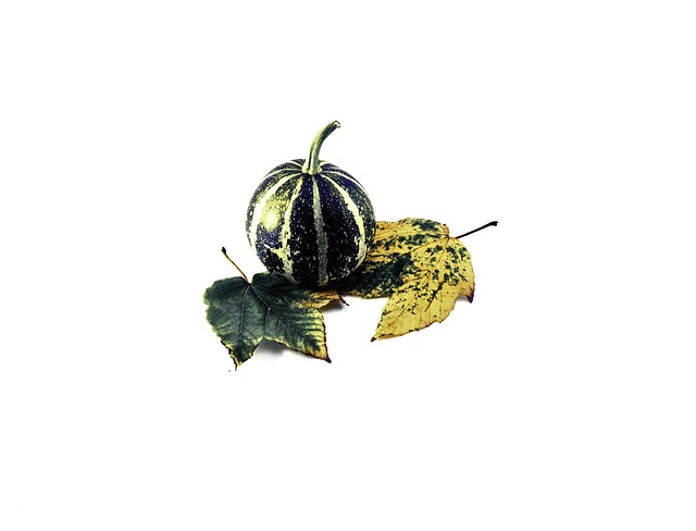 Kürbis, Blätter, Ahorn, Herbst, Saisonal