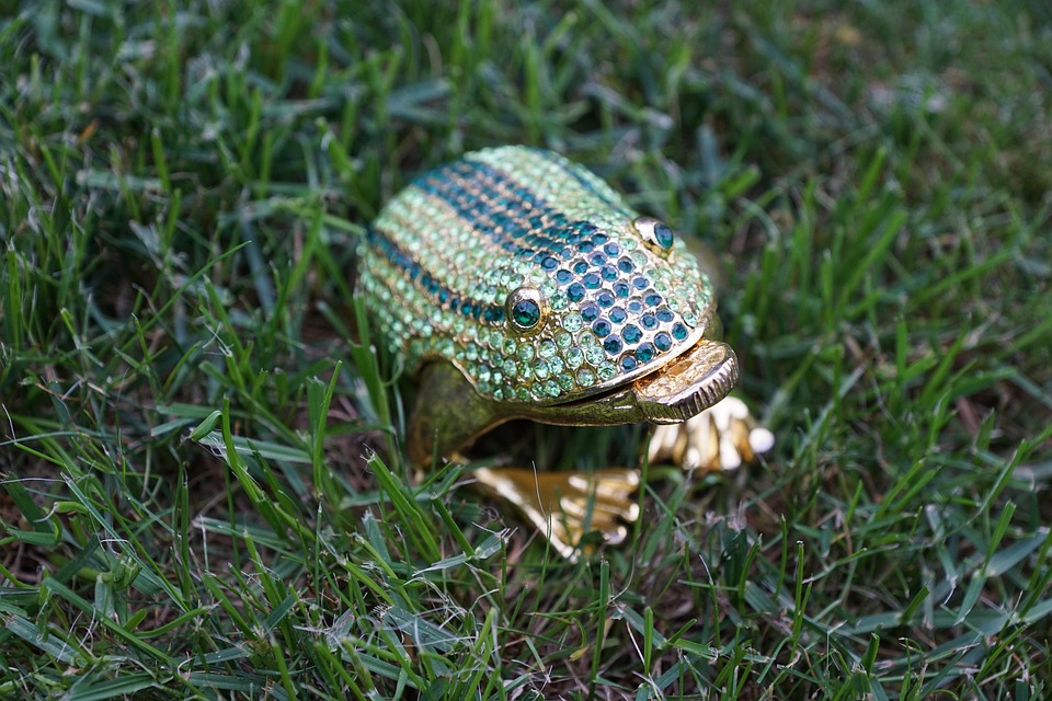 Katak Angka Keberuntungan Foto Gratis Di Pixabay