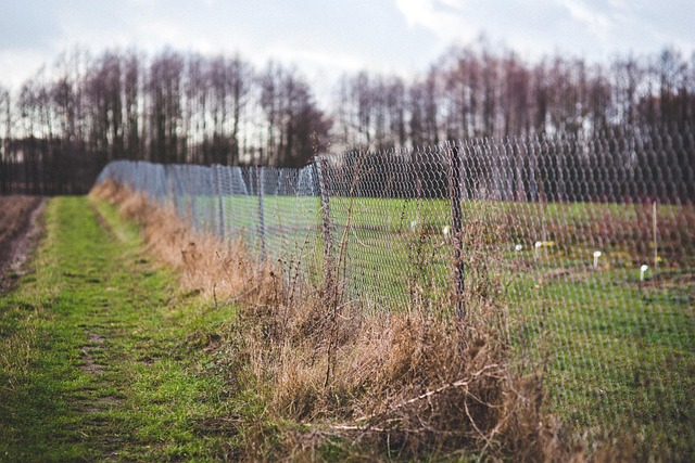 Mesh, Hegn, Metal, Beskyttelse, Natur