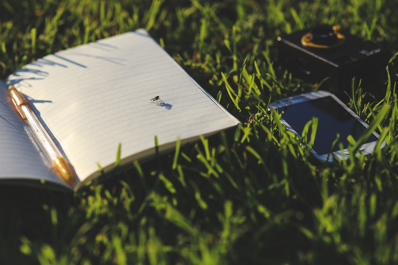 Fly Notebook Fly Notebook Grass - Free photo on Pixabay - Pixabay