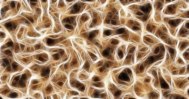 Free annoy cells dendrites sepia illustration