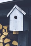 birdhouse, bird, gray