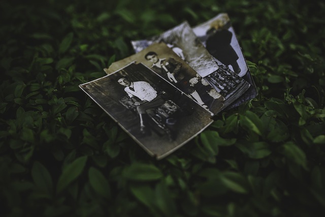 Free Old Vintage photo and picture