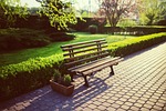 bench, garden, green