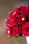 red, roses, bridal