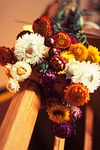 driers, flowers, old