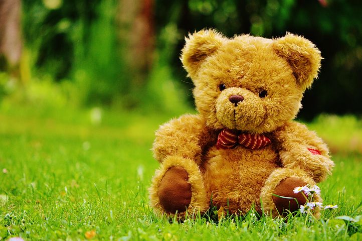 400+ kostenlose Bärchen und Teddy-Bilder - Pixabay