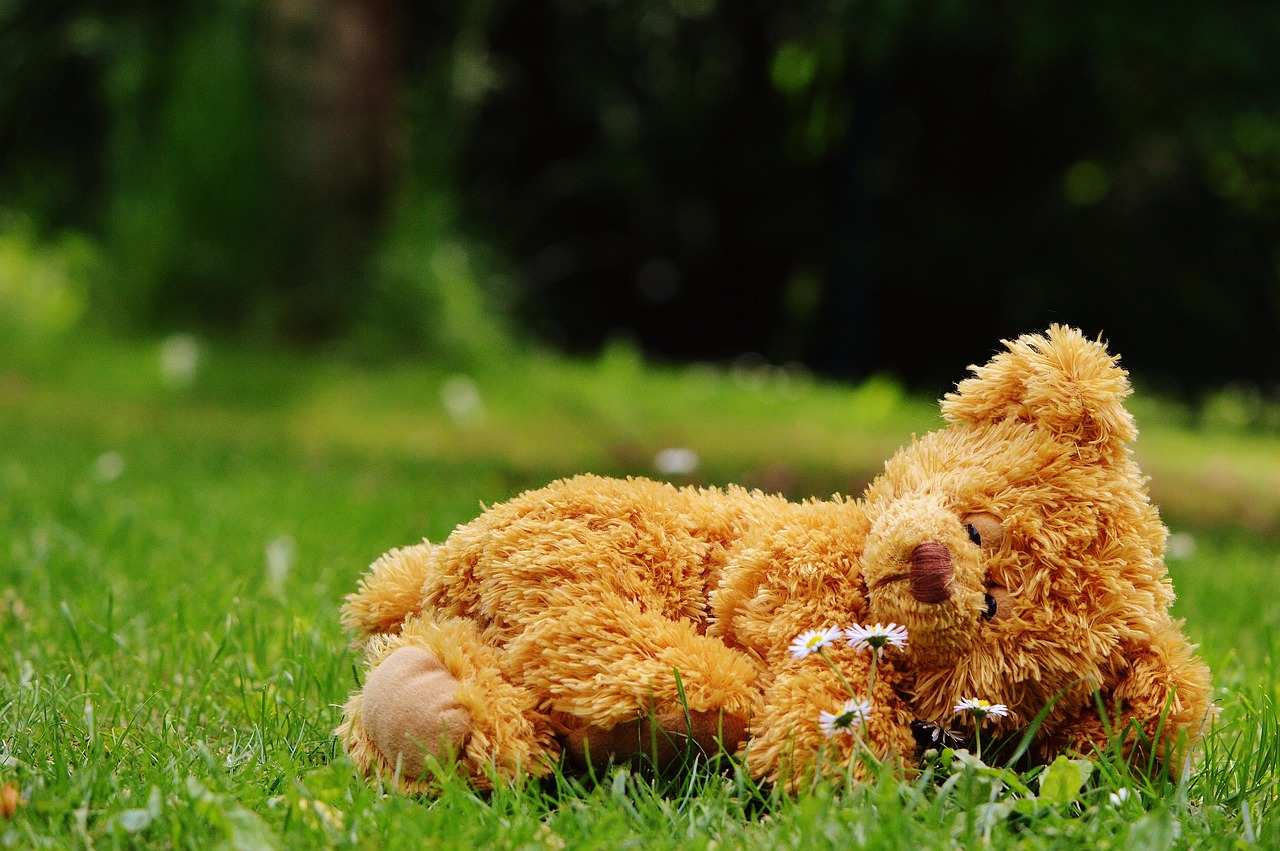 8,000+ Free Teddy Bears & Bear Images - Pixabay