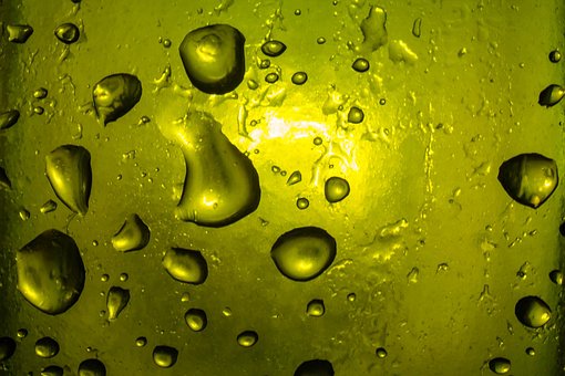 Free Macro Glass photo and picture