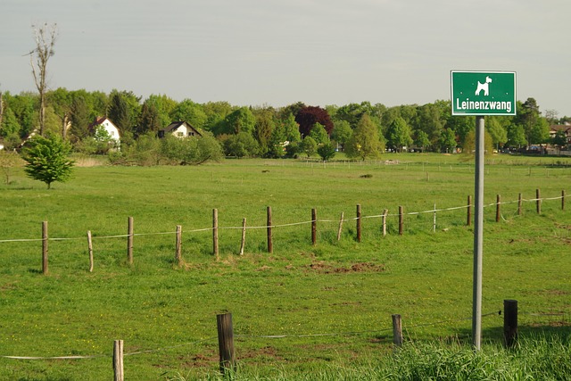 Free Meadow Pasture photo and picture