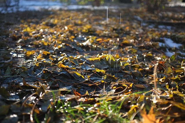 Dråber, Efterår, Blade, Græs, Natur