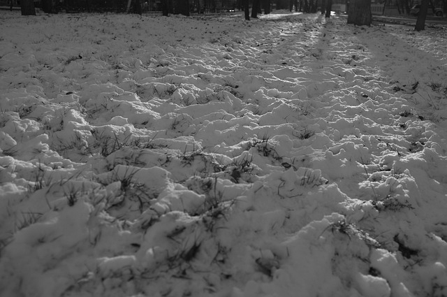Sne, Vinter, Sort Og Hvid, Skygge