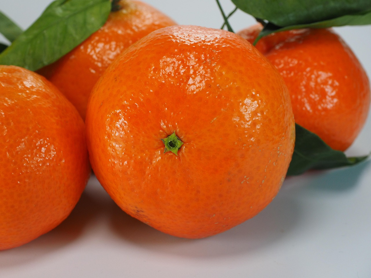 Clementines Oranges Mandarins Free photo on Pixabay