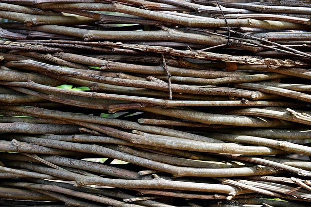 Free Wood Background photo and picture