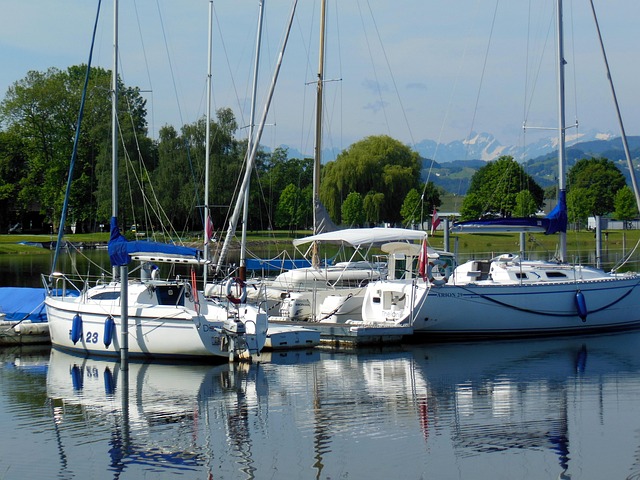 Free Lake Constance Sailboats photo and picture