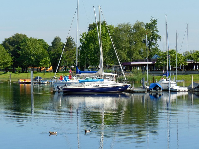 Free Lake Constance Sailboats photo and picture