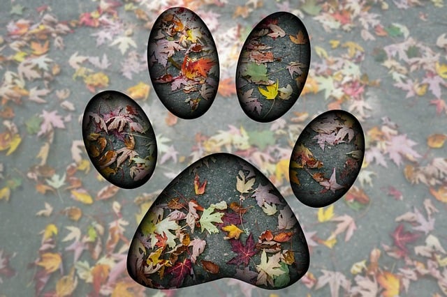 Free fingerprint animal dog illustration