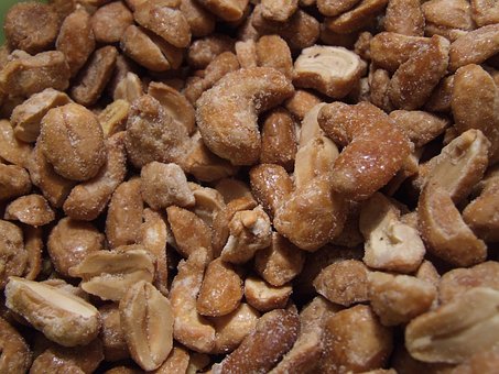 Free Cashews Nuts photo and picture