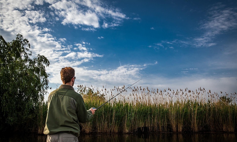 Catch More: The Ultimate Guide to Beginner Bass Fishing Success