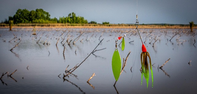 Isca Giratória, Isca De Pesca, Pescaria