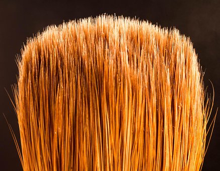 Free Macro Photography Macro photo and picture