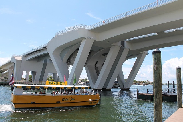 Puente, Taxi Acuático, Intracostero