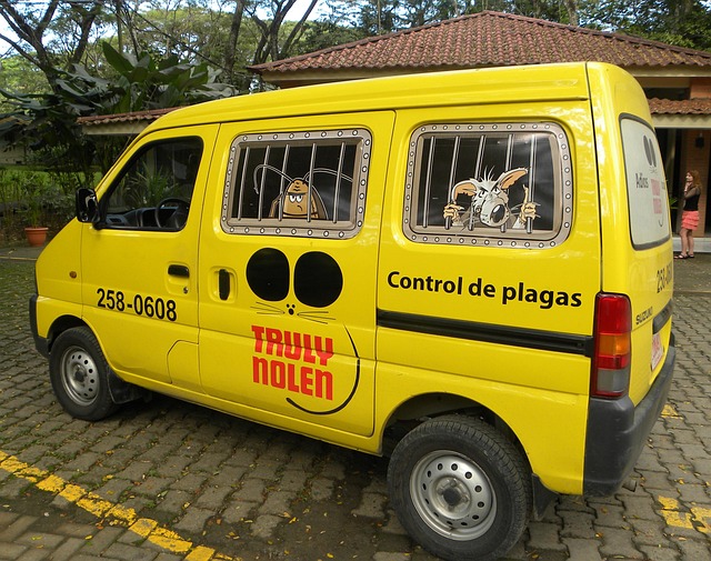 Free Pest Control Mosquitoes photo and picture