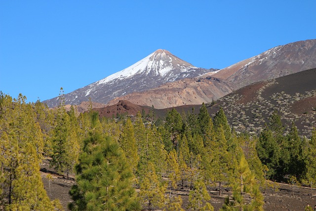 Free Tenerife Teide photo and picture