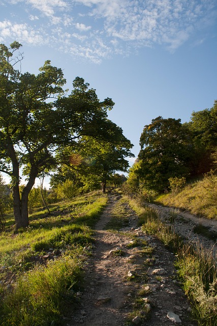 Free Way Nature photo and picture
