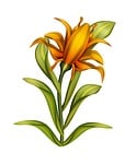 flower, drawing, isolated