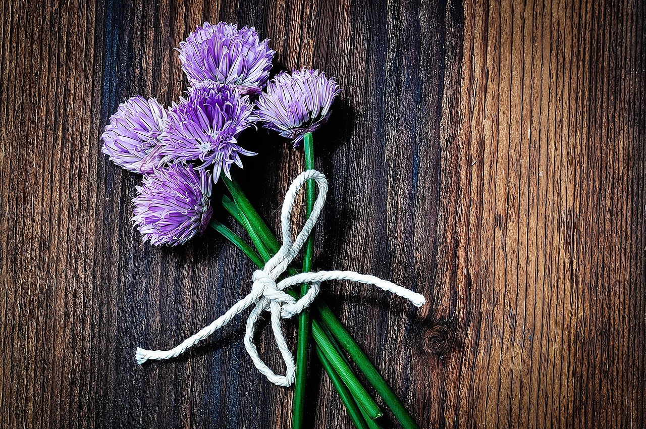Chives Blossoms Chive Flowers - Free photo on Pixabay - Pixabay