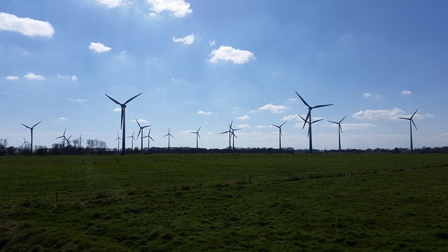 Electricidad, Energía Eólica, Energía