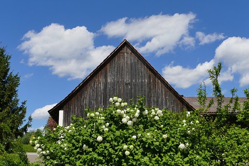 Cabana, Flor, Lindo, Verde, Panorama