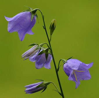 50대 초반 사억원 개인회생 가능할까요3