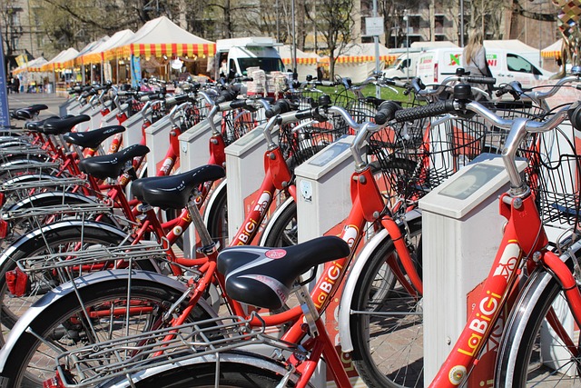 Mobilità sostenibile o immobilità imposta?