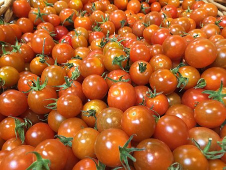 Free Tomatoes Cherry Tomatoes photo and picture