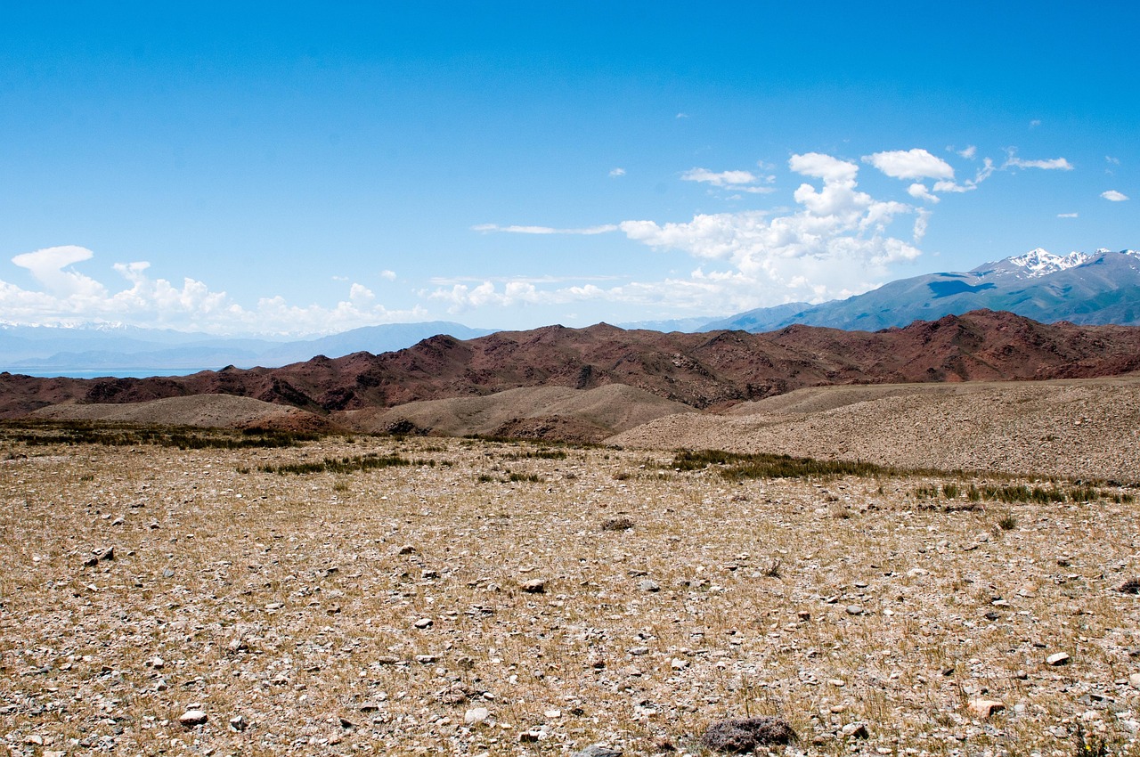 Open high-altitude steppe stretching to distant snow-covered ridges
