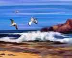 ocean, waves, tide