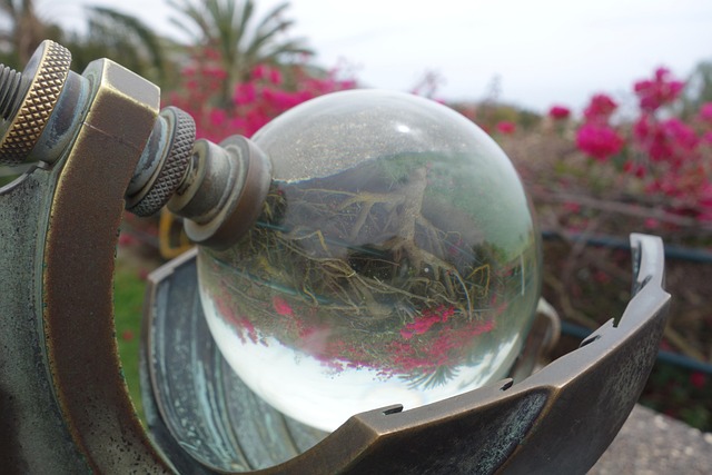 Free Glass Sphere Reflection photo and picture