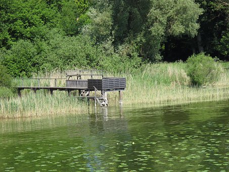 Free Web Water photo and picture