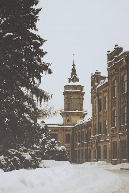Free Winter Snow photo and picture