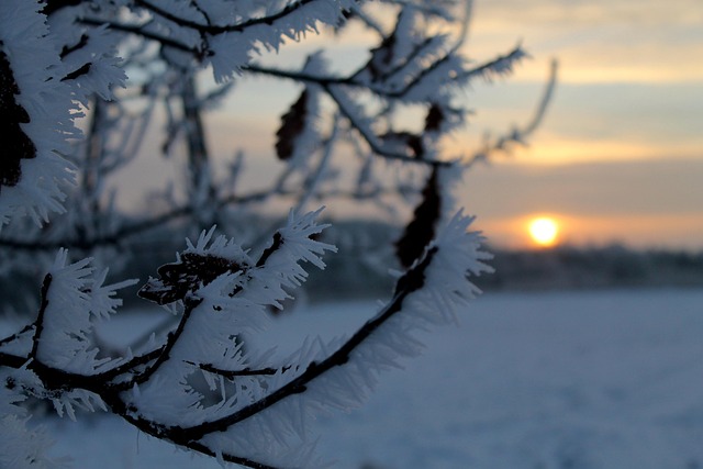 Winter, Morgen, Sunrise