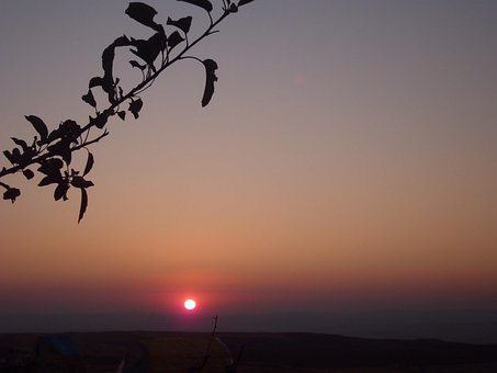 Free Sun Tawny photo and picture