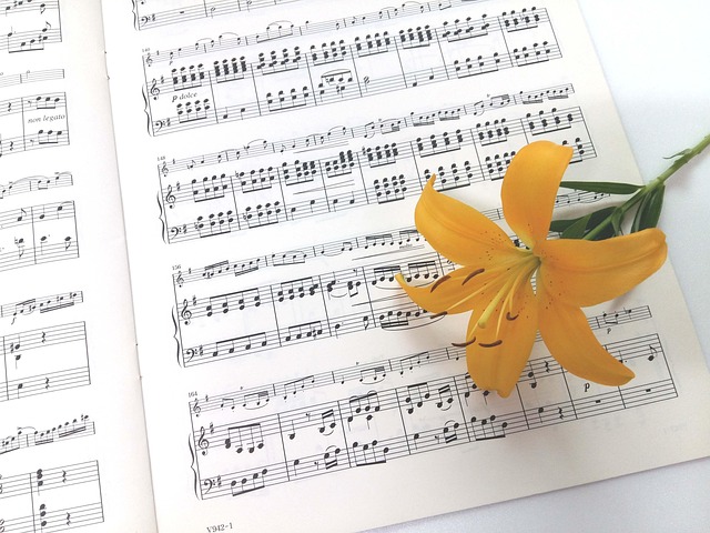 Free Sheet Music Yellow Lily photo and picture