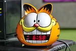 alarm, clock, cat